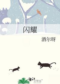 闪耀
